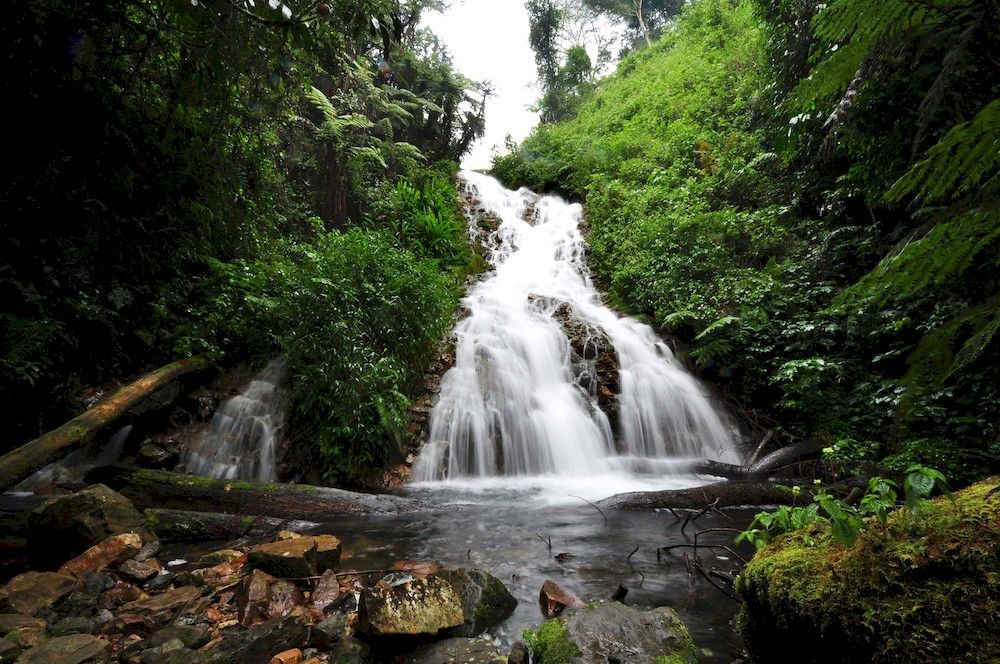 Sanctuary Gorilla Forest Camp Hotel Ntungamo  Zewnętrze zdjęcie